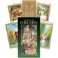 Taro kaardid Tarot Of Druids цена и информация | Esoteerika | hansapost.ee