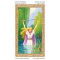 Taro kaardid Tarot Of Druids hind ja info | Esoteerika | hansapost.ee