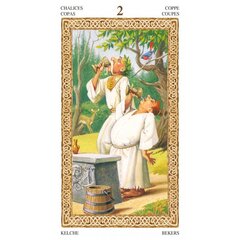 Карты Таро Tarot Of Druids цена и информация | Эзотерика | hansapost.ee