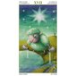 Taro kaardid Tarot of the Magical Forest hind ja info | Esoteerika | hansapost.ee