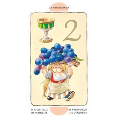 Карты Таро Tarot Of Gnomes цена и информация | Эзотерика | hansapost.ee