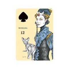 Карты Таро Playing Cards Oracle Divination цена и информация | Эзотерика | hansapost.ee