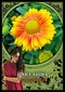 Taro kaardid Flower Magic Oracle цена и информация | Esoteerika | hansapost.ee