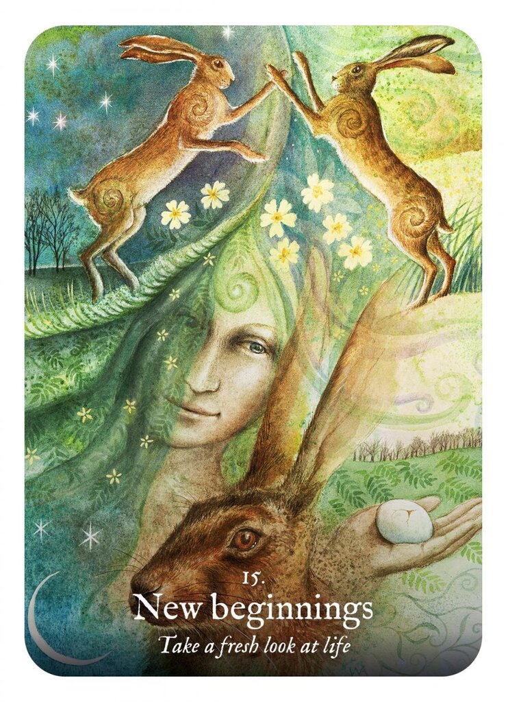 Goddess Dream Oracle: (book & Cards) цена и информация | Esoteerika | hansapost.ee