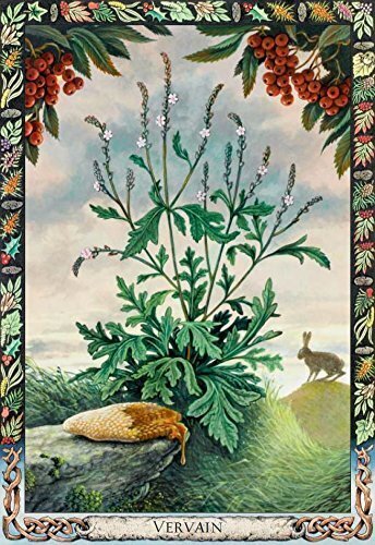 Taro kaardid The Druid Plant Oracle hind ja info | Esoteerika | hansapost.ee