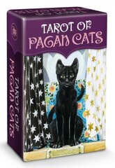 Карты Таро Tarot Of Pagan Cats цена и информация | Эзотерика | hansapost.ee