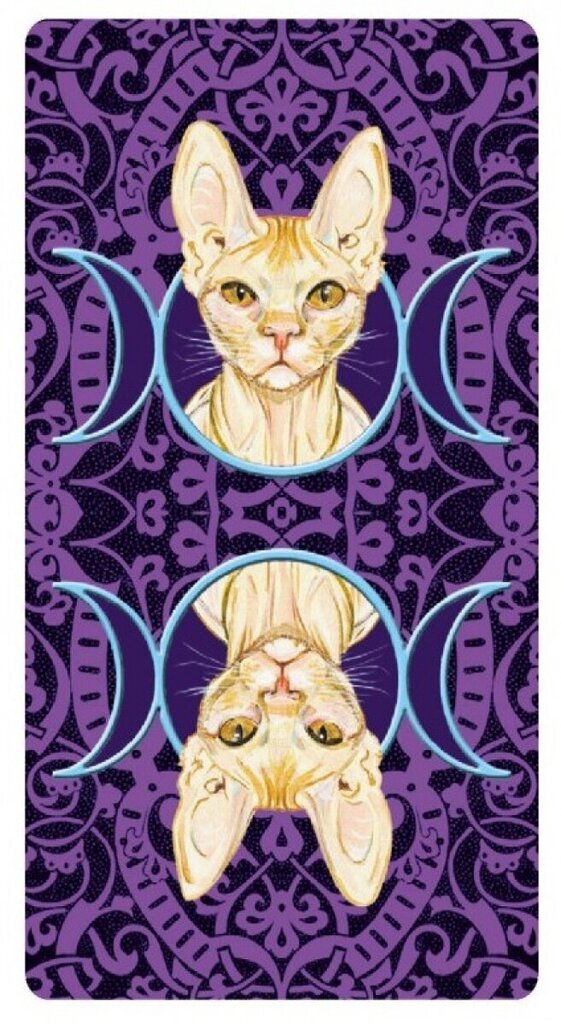 Taro kaardid Tarot Of Pagan Cats hind ja info | Esoteerika | hansapost.ee