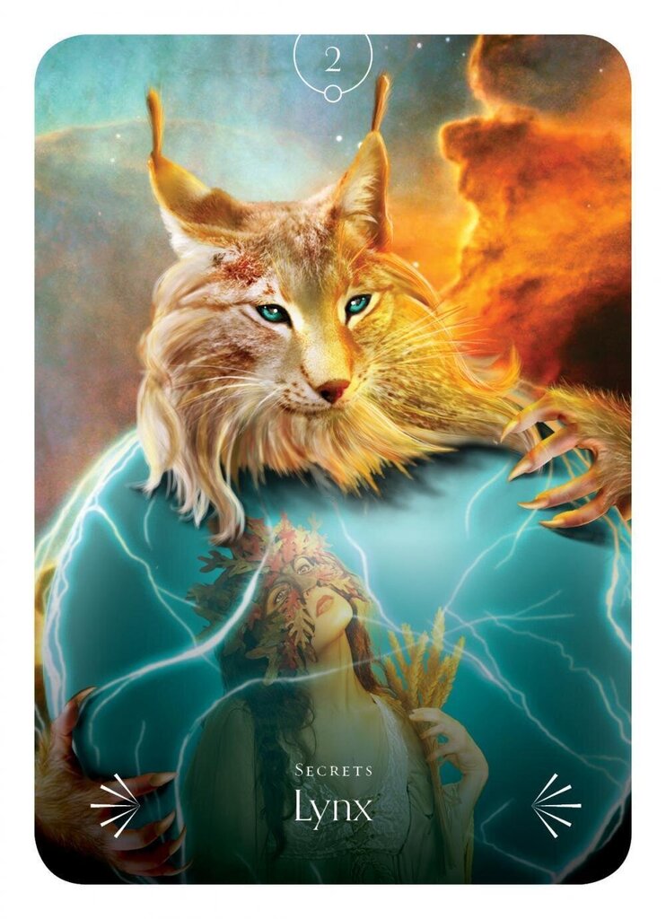 Divine Animals Oracle: Deep wisdom from the most sacred beings in existence hind ja info | Esoteerika | hansapost.ee