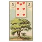 Taro kaardid French Cartomancy hind ja info | Esoteerika | hansapost.ee