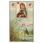 Taro kaardid French Cartomancy hind ja info | Esoteerika | hansapost.ee