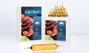 Аксессуар для морского наноаквариума Prodibio Calci Reef+, 10 шт. цена и информация | Аквариумы и оборудование | hansapost.ee