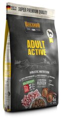 Belcando Karma Active linnulihaga, 4 kg price and information | Dry dog food and crisps | hansapost.ee