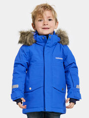 Didriksons laste talveparka BJÄRVEN 3, sinine price and information | Winter clothes for children | hansapost.ee