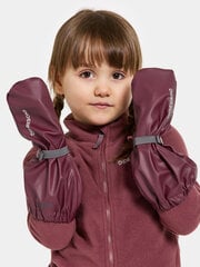 Didriksons laste vihmakindad GLOVE 5, bordoopunane price and information | Rainwear for children | hansapost.ee