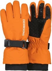 Didriksons детские зимние перчатки BIGGLES GLOVES 3, оранжевые цена и информация | Зимняя одежда для детей | hansapost.ee