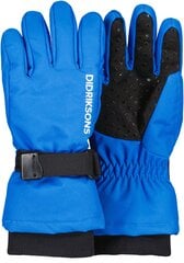 Didriksons детские зимние перчатки BIGGLES GLOVES 3, синие цена и информация | Зимняя одежда для детей | hansapost.ee