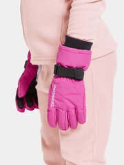 Didriksons laste talvekindad BIGGLES GLOVES 3, fuksia price and information | Winter clothes for children | hansapost.ee