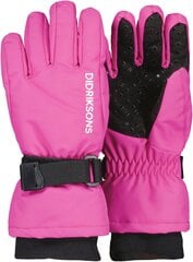 Didriksons детские зимние перчатки BIGGLES GLOVES 3, фуксия цена и информация | Зимняя одежда для детей | hansapost.ee