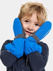 Didriksons laste talvekindad BIGGLES 7, sinine price and information | Winter clothes for children | hansapost.ee