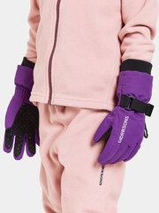 Didriksons laste talvekindad BIGGLES GLOVES 3, lilla price and information | Winter clothes for children | hansapost.ee