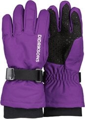 Didriksons детские зимние перчатки BIGGLES GLOVES 3, фиолетовые цена и информация | Зимняя одежда для детей | hansapost.ee