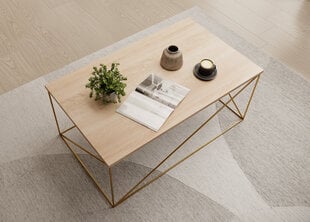 Журнальный столик ADRK Furniture Dante, золотистый/коричневый цена и информация | Журнальные столики | hansapost.ee