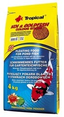 Toit tiigikaladele Tropical Koi & Goldfish Color Sticks, 4 kg price and information | Kalade toit | hansapost.ee