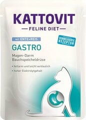 Kattovit Feline Diet Gastro pardi ja riisiga, 85 g цена и информация | Консервы для кошек | hansapost.ee