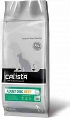 Calista täiskasvanud koertele koos veiselihaga, 12 kg price and information | Dry dog food and crisps | hansapost.ee