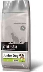 Calista noortele koertele koos veiselihaga, 12 kg price and information | Dry dog food and crisps | hansapost.ee