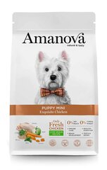 Amanova väikestest tõugudest noortele kutsikatele kanalihaga, 2 kg price and information | Dry dog food and crisps | hansapost.ee