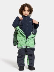 Didriksons laste talvekombinesoon BJÄRVEN 3, roheline-must price and information | Winter clothes for children | hansapost.ee