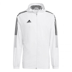 Meeste dressipluus Adidas Tiro GP4966 price and information | Sportswear for men | hansapost.ee