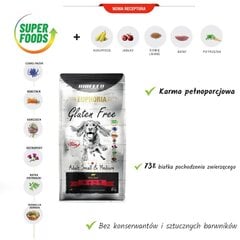 Biofeed Euphoria Gluteen Free Adult Small&Medium veiselihaga, 12kg цена и информация | Сухой корм для собак | hansapost.ee