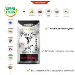 Biofeed Euphoria Gluten Free Adult Mini&Small veiselihaga, 12kg цена и информация | Сухой корм для собак | hansapost.ee