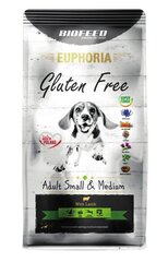 Biofeed Euphoria Gluten Free Adult Small&Medium lambaga, 12 kg цена и информация | Сухой корм для собак | hansapost.ee