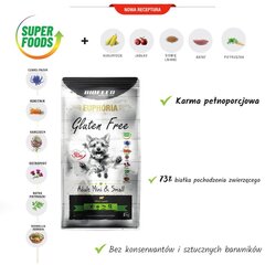 Biofeed Euphoria Gluten Free Adult Mini&Small lambaga, 12 kg цена и информация | Сухой корм для собак | hansapost.ee