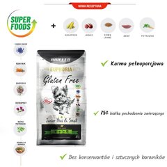 Biofeed Euphoria Gluten Free Junior Mini&Small lambaga, 12 kg hind ja info | Koerte kuivtoit ja krõbinad | hansapost.ee