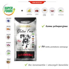 Biofeed Euphoria Gluten Free Junior Small&Medium veiselihaga, 12kg price and information | Dry dog food and crisps | hansapost.ee