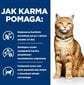 Hill's PD C/D Urinary Care, 3 kg hind ja info | Kassi kuivtoit ja kassikrõbinad | hansapost.ee