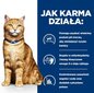 Hill's PD C/D Urinary Care, 3 kg hind ja info | Kassi kuivtoit ja kassikrõbinad | hansapost.ee