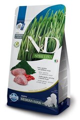 Farmina N&D Spirulina Lamb Puppy Medium/Maxi lambaga, 2 kg price and information | Koerte kuivtoit ja krõbinad | hansapost.ee