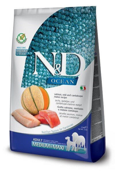 Farmina N&D Ocean Dog Adult Medium&Maxi lõhe, tursa, kõrvitsa ja meloniga, 2,5 kg hind ja info | Koerte kuivtoit ja krõbinad | hansapost.ee