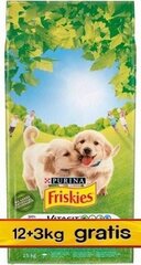 Purina Karma Friskies Junior 15кг (12+3кг) цена и информация | Сухой корм для собак | hansapost.ee