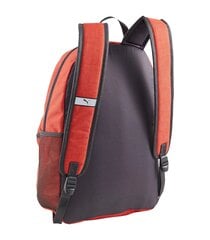 Seljakott Puma Phase Backpack 090118*02, oranž price and information | Koolikotid ja seljakotid | hansapost.ee