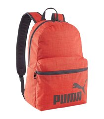 Seljakott Puma Phase Backpack 090118*02, oranž hind ja info | Koolikotid ja seljakotid | hansapost.ee