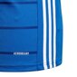 Meeste T-särk adidas Campeon 21 M FT6762 hind ja info | Spordiriided meestele | hansapost.ee