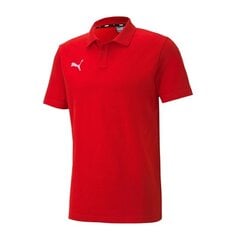 Спортивная мужская футболка Puma teamGoal 23 656579-01, красная цена и информация | Мужская спортивная одежда | hansapost.ee