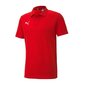 Meeste spordisärk Puma teamGoal 23 656579-01, punane цена и информация | Spordiriided meestele | hansapost.ee