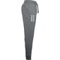 Meeste dressipüksid Under Armor Rival Fleece 3Logo Jogger Pants M 1357 131 012, halliid hind ja info | Spordiriided meestele | hansapost.ee